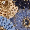 Flower 1969 blue bag